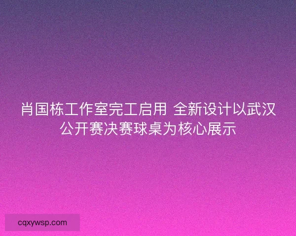 肖国栋工作室完工启用 全新设计以武汉公开赛决赛球桌为核心展示